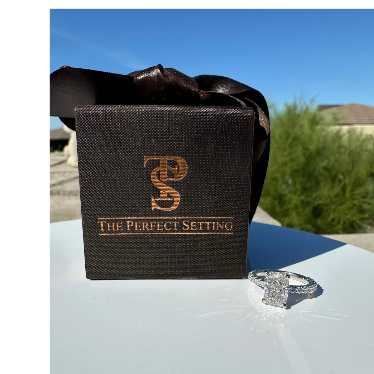 The Perfect Setting, Inc. elongated cushion cut diamond engagement ring with hidden halo and pavé band on a display box